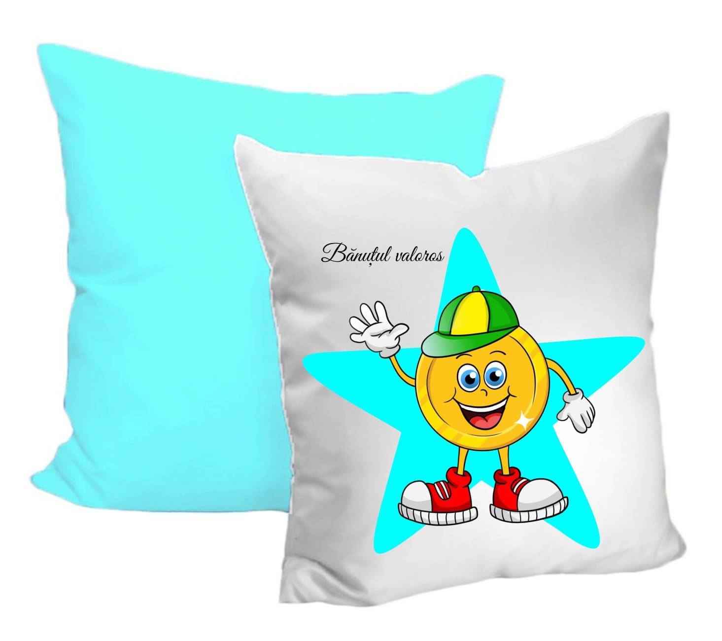 perna personalizata banutul valoros perna personalizata banutul valoros